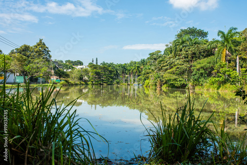 Fotografi la babilla wetland, babilla park in cali colombia located in southern cali