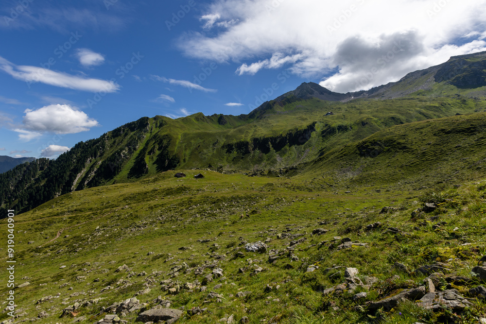 Fototapeta premium Bergpanorama auf dem Ahorn in den Zillertaler Alpen