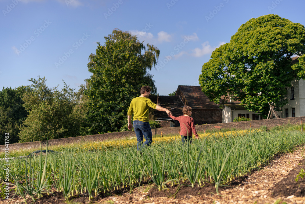 Father holding son's hand and walking in vegetable garden Father holding son's hand and walking in vegetable garden