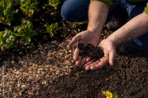 Man collecting soil in hands at vegetable garden