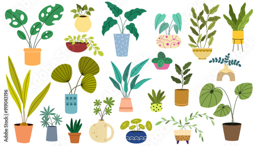 Potted plants set. Interior houseplants in planters, baskets, flowerpots. Home indoor green decor. Different succulents, cacti, foliage. Flat graphic vector illustrations isolated on white background