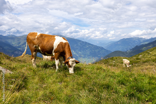 Bergwelt der Zillertaler Alpen  photo