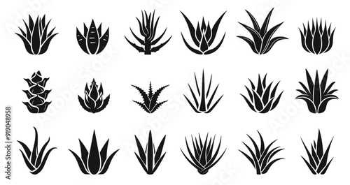 Aloe vera icons set. Medicinal aloe plant. Green herb for cosmetic and medical use. Healing properties leaf. Herbal medicine. Black and white simple isolated vector clipart collection