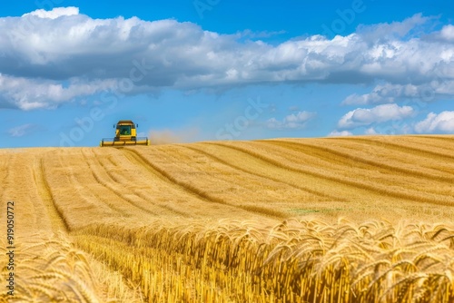 Endless Golden Wheat Field Under a Clear Blue Sky - Agricultural Splendor. Beautiful simple AI generated image in 4K, unique.