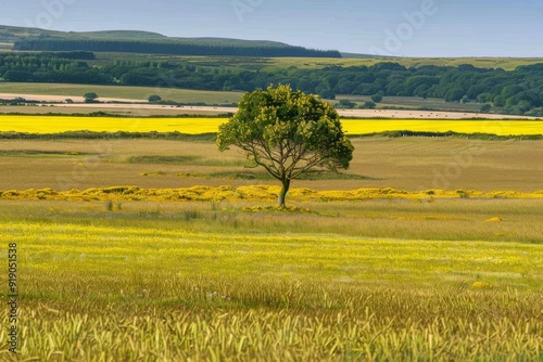 beautiful symmetrical patterns and a golden glow in a field of post-harvest sprayed wheat stubble, Wiltshire UK. Beautiful simple AI generated image in 4K, unique.