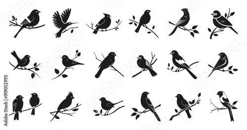 Birds on the tree branch icons set. Little various songbirds silhouettes. Nature and tranquility symbol. Freedom and harmony of wild life. Black and white flat style isolated vector clipart collection