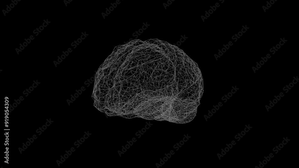 脳 回転ループ動画 human_brain_line_ray loop video 脳 回転ループ動画 human_brain_line_ray loop video