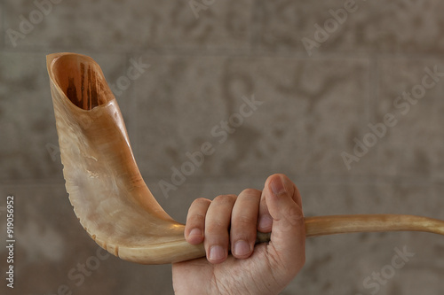 A man holds a polished ram's horn hollowed and carved into a shofar used in the ritual observance of the Jewish new year holiday of Rosh Hashanah. 