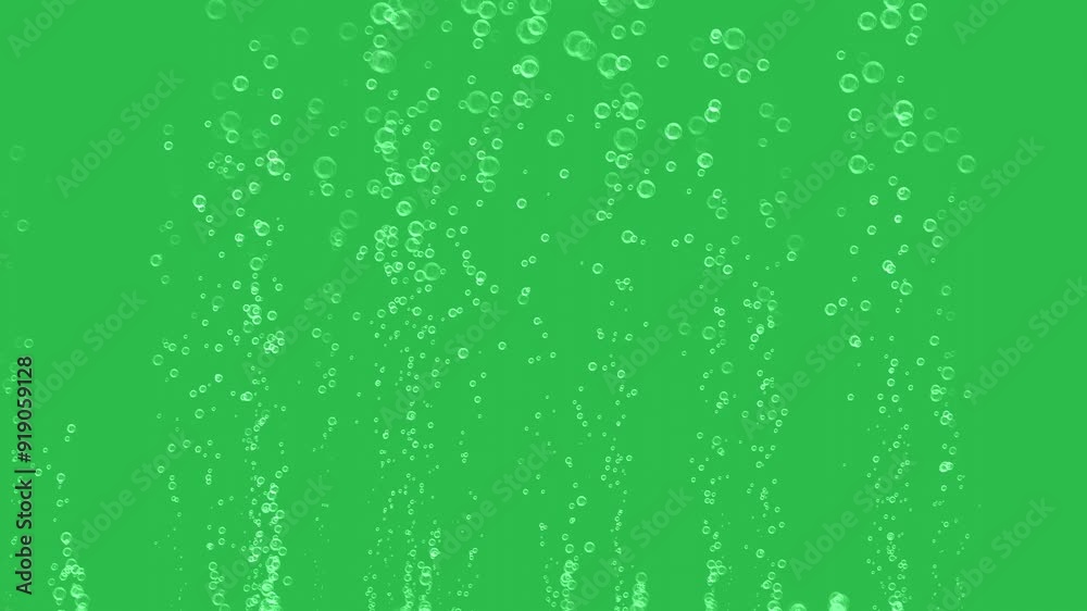 Raising bubbles on green screen background motion graphic effect. 