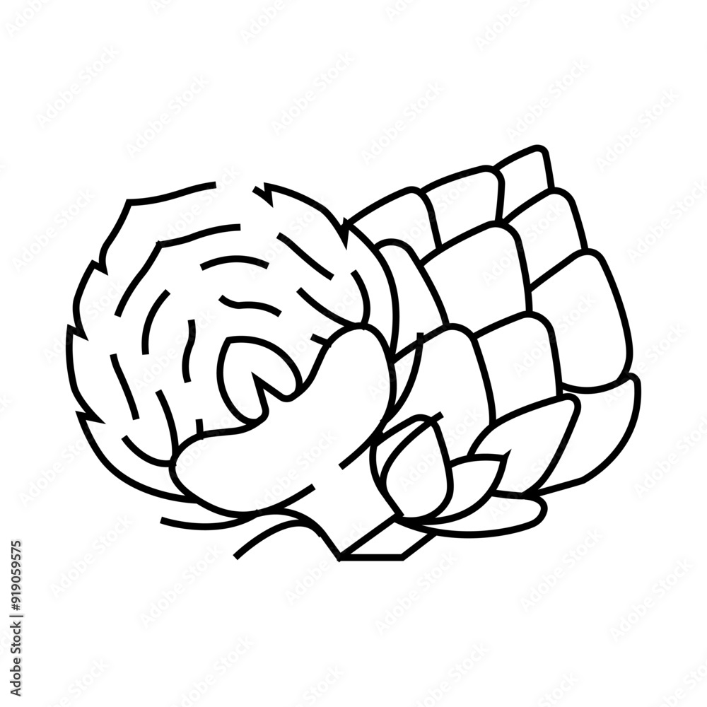 cut ripe artichoke line icon vector. cut ripe artichoke sign. isolated contour symbol black illustration cut ripe artichoke line icon vector. cut ripe artichoke sign. isolated contour symbol black illustration