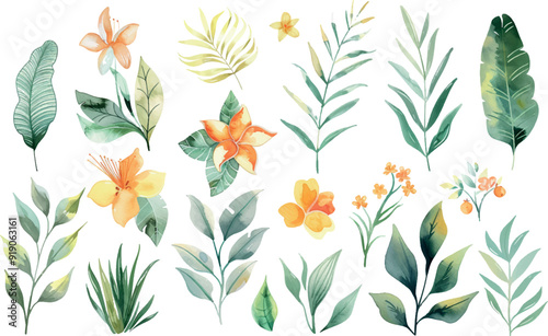 Watercolor set pastel colors leaves flowers, , clipart for design 