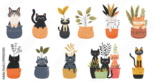 Cute cats in planterns. Kittens inside indoor flower pots between house plants. Funny print sticker postcard elements. Simple flat cartoon vector style isolated clipart collection photo