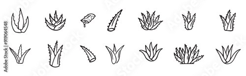 hand drawn doodle aloe vera outline icon set vector illustration
