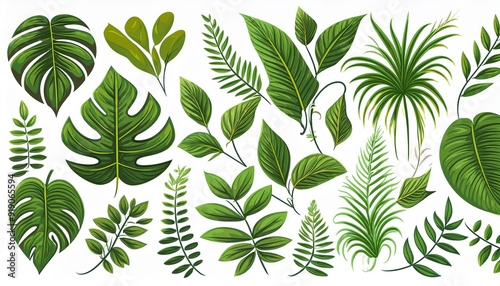 Isolated jungle plants set. Design elements. Liana branch. Tropical forest trees in cartoon style. Rainforest bush on white background. Vector illustration