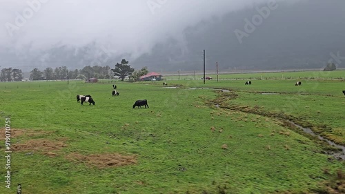 4K, Tranzalpine train journey New Zealand, green grassy pastures, mountains clouds and rain, tourist tourism travel journey destination
