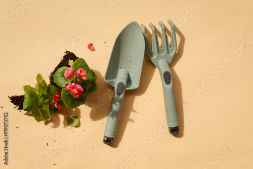 garden utensils on beige. plant flowers