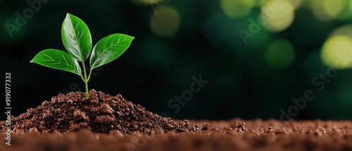 Corporate Responsibility: Exploration of Business in Environmental Stewardship with Copy Space for Text