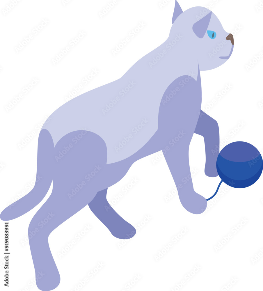Playful blue cat is taking a stroll with its favorite blue toy ball Playful blue cat is taking a stroll with its favorite blue toy ball