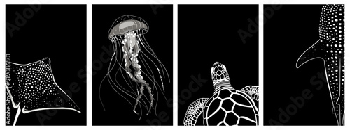 Marine animals posters print set. Sea turtle jellyfish eagle ray whale shark. Stylish monochrome dark background. Underwater life ocean and sea creatures. Wall art decor. Place for text. Vector