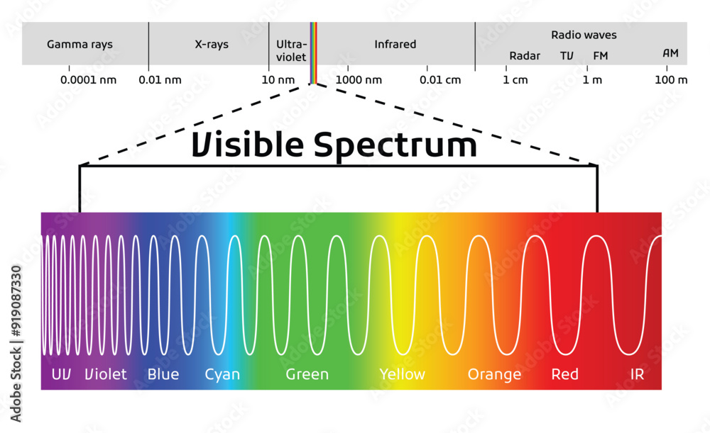 Spectrum wavelength. Visible spectrum color range. Educational physics light line. Wavelengths of the visible part of the spectrum for human eyes