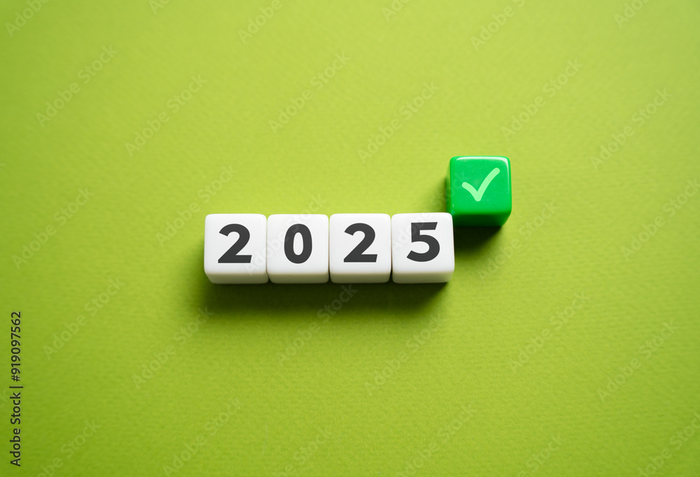 2025 and a green check mark. Achievements of the new year. Summarize. Fulfill the plan by the end of the year.