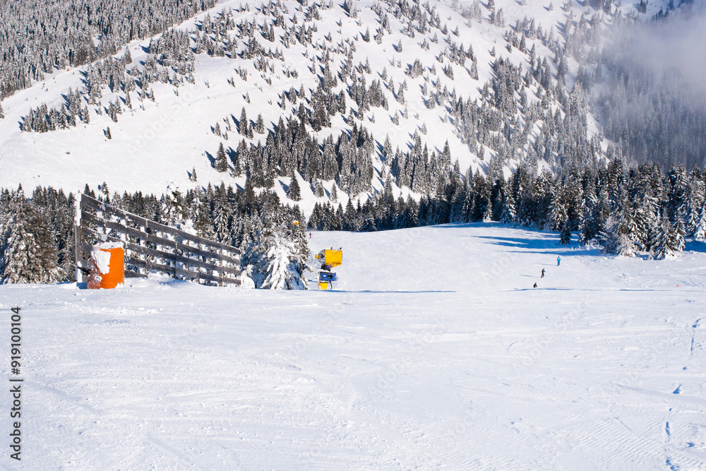 Panorama of ski resort, trees covered with snow
