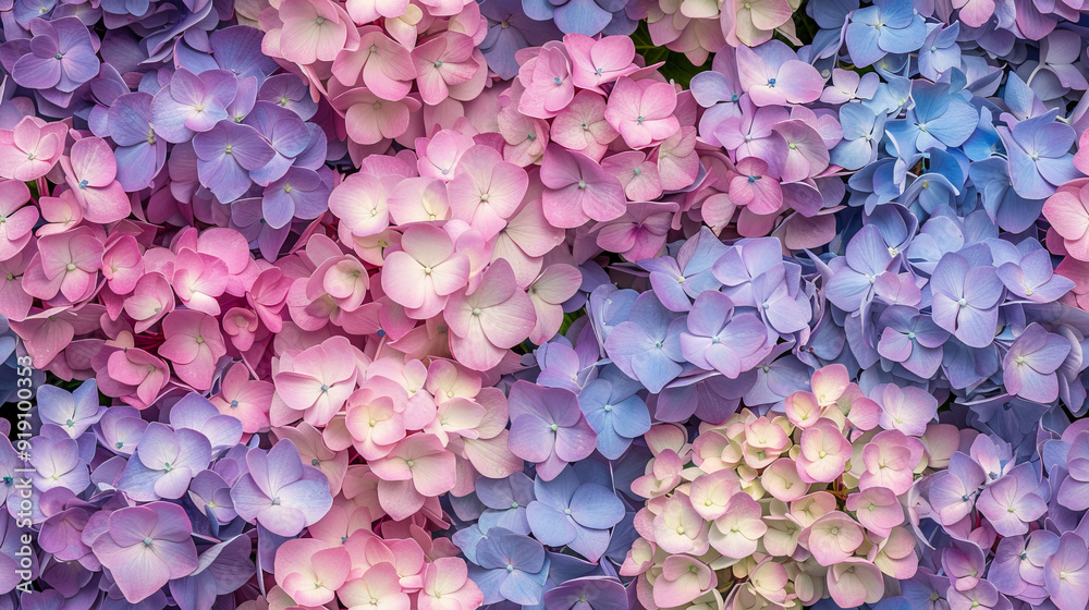 Pastel hydrangea flowers showcasing soft and delicate blooms, seamless pattern Pastel hydrangea flowers showcasing soft and delicate blooms, seamless pattern