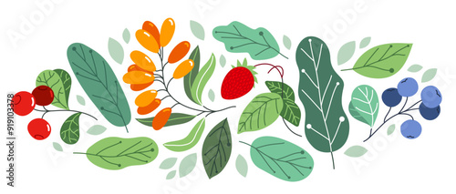 Wild berries fresh and ripe tasty healthy food with leaves vector flat style illustration isolated over white, delicious vegetation diet eating, nature gifts.