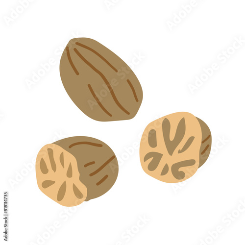 Fragrant or true nutmeg whole cartoon isolated icon. Vector pala edible seed, culinary spice, whole and grounded. Seed or ground spice of mace, seasoning or organic food ingredient