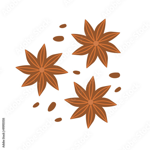 Dry aniseed or star anise. Composition of Chinese winter spice, badian with seeds. Doodle flat illustration. Hand drawn detailed vector illustration of illicium verum isolated on white background
