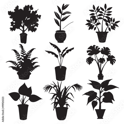 Vector silhouettes of potted plants
