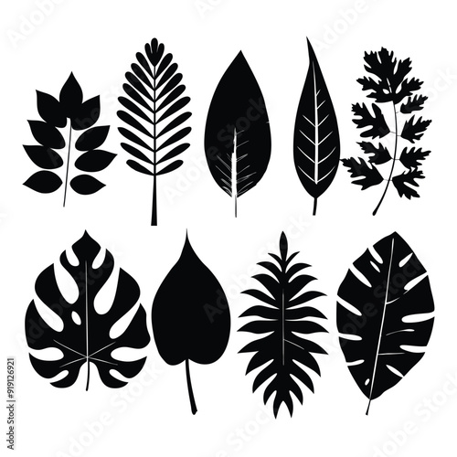 Intricate Leaf Silhouette Vector Illustration: Maple, Oak, Palm, Fern, Ginkgo, and Ivy Leaves