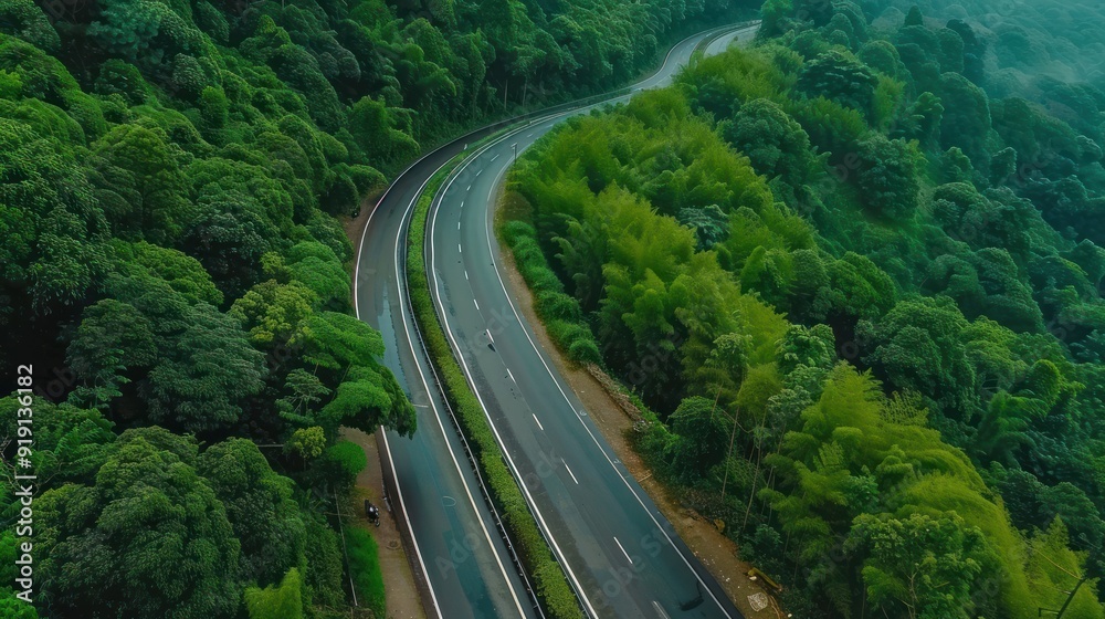 Aerial View of a Winding Road Through Lush Green Foliage Aerial View of a Winding Road Through Lush Green Foliage