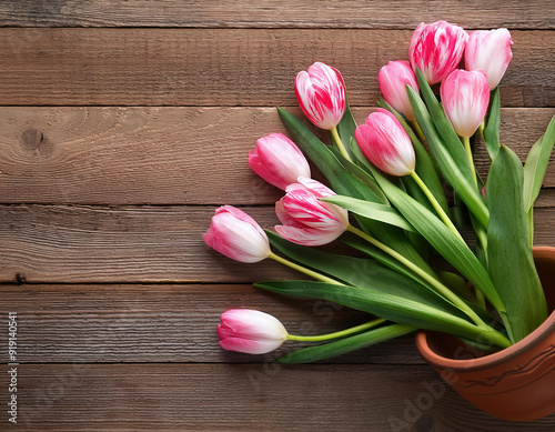 top view of  fresh tulips with pink striped flower  in a clay pot  and green leaves on wooden background with copy space