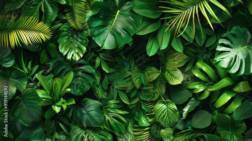 Wallpaper Mural A lush green background featuring dense foliage, vibrant leaves of various shapes and sizes, and a sense of freshness and vitality, ideal for nature-inspired designs Torontodigital.ca