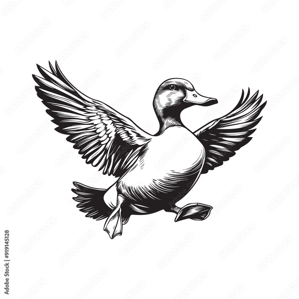 Fototapeta premium Duck Clipart, Duck Bird silhouette, Duck Wing Flap Leap and Land illustration in black and white