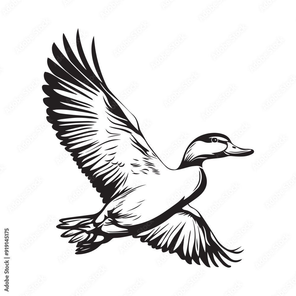 Duck Clipart, Duck Bird silhouette, Graceful Soar Duck illustration in black and white Duck Clipart, Duck Bird silhouette, Graceful Soar Duck illustration in black and white