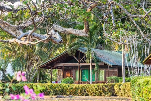 Ecolodges in the middle of the beautiful nature in puntarenas region at the pacific coast of Costa Rica in Central America