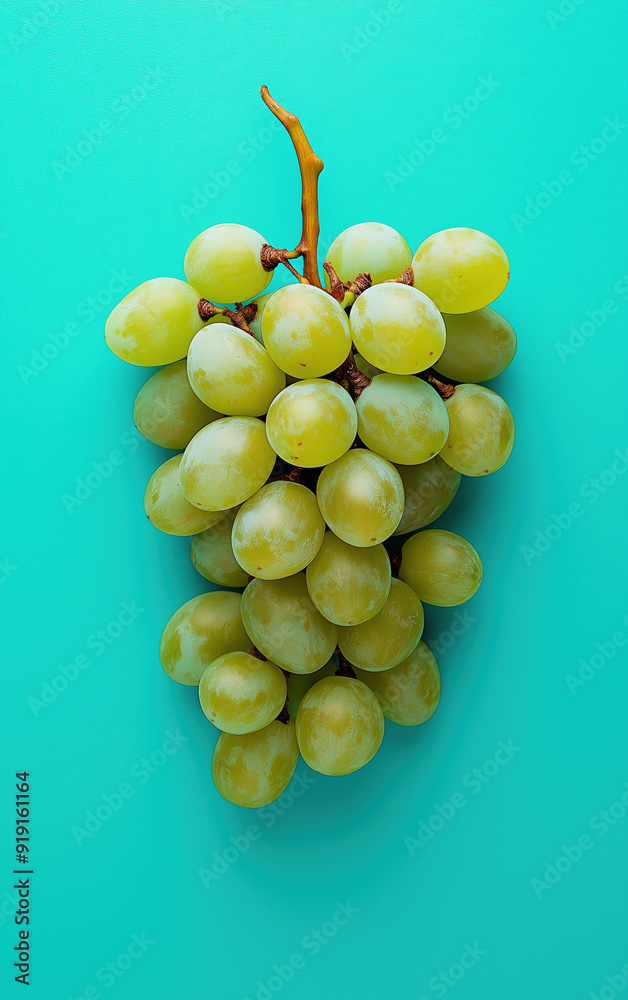 Grape. Bunch of grapes, fruit branch on pastel uniform color background, studio minimal concept. Minimalist summer brunch of grape, fruit, food concept, top view. Realistic Photo
