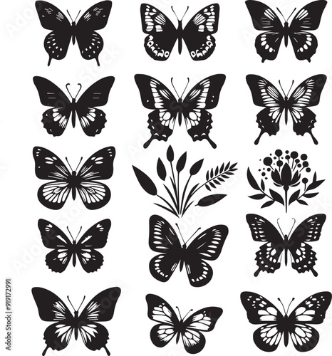 beutifull Butterflies silhouette set. Vector illustration eps