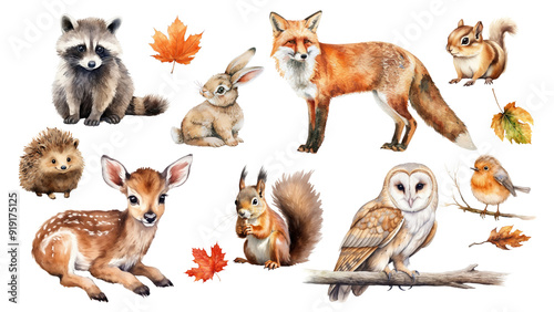 Fototapeta Naklejka Na Ścianę i Meble -  PNG watercolor animals in Autumn element set, transparent background
