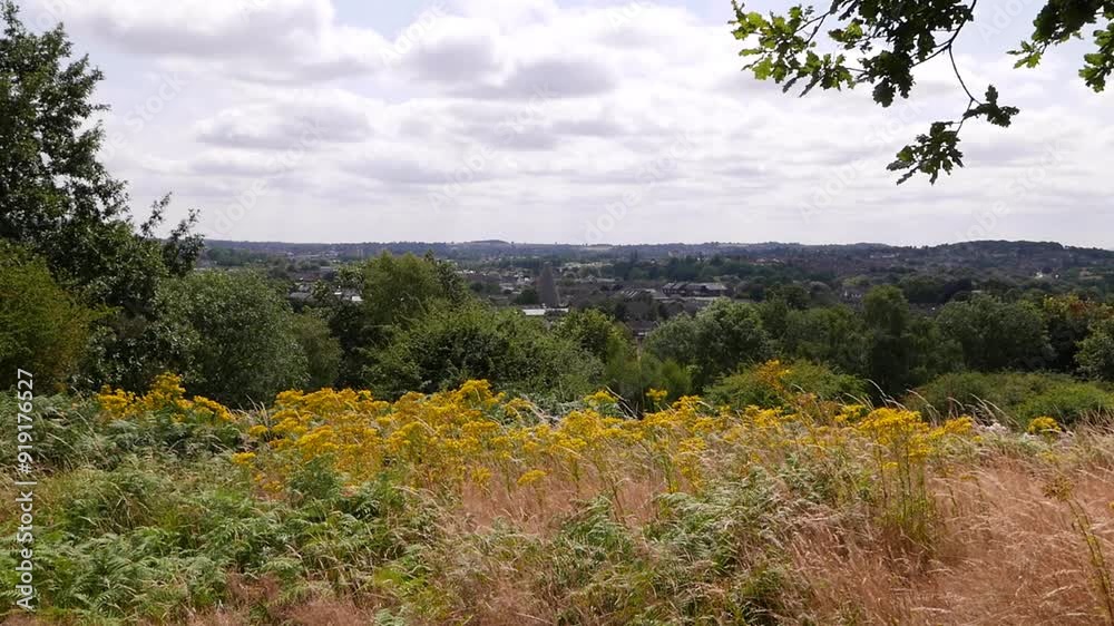 A view of Red House Glass Cone from the hill behind Holy Trinity Church. Summer 2024. Wordsley. West Midlands. UK