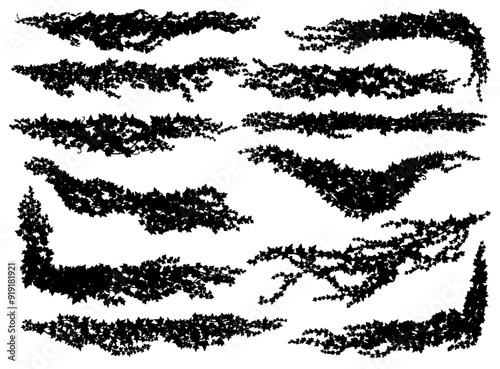 Isolated ivy lianas silhouettes. Vector vines of creeper plants with leaves and branches for frame border lines, corners and dividers. Isolated black lianas of ivy, climbing branches of garden creeper
