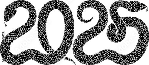 Vector design of two black snakes intertwined in the shape of the number 2025. Isolated illustration of numeric symbol for 2025 Chinese New Year celebration with snake zodiac sign.