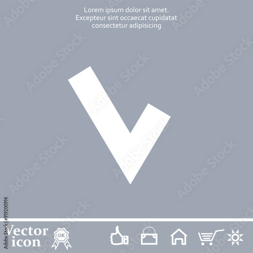 Vector icon of white color on a gray background