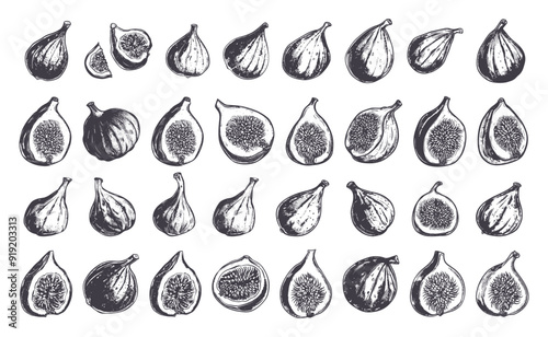 Fresh Figs Icons Set Doodle Style Hand Drawn Sketch Figs Illustrations Neat Line Art Detailed Fruit Drawings Black on White Background Organic Produce Icons