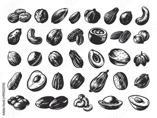 Nuts Linocut Print Style Icons Set Various Nut Illustrations Detailed Nut Shapes Almonds Walnuts Cashews Peanuts Classic Engraving Thick Strokes Black on White Background