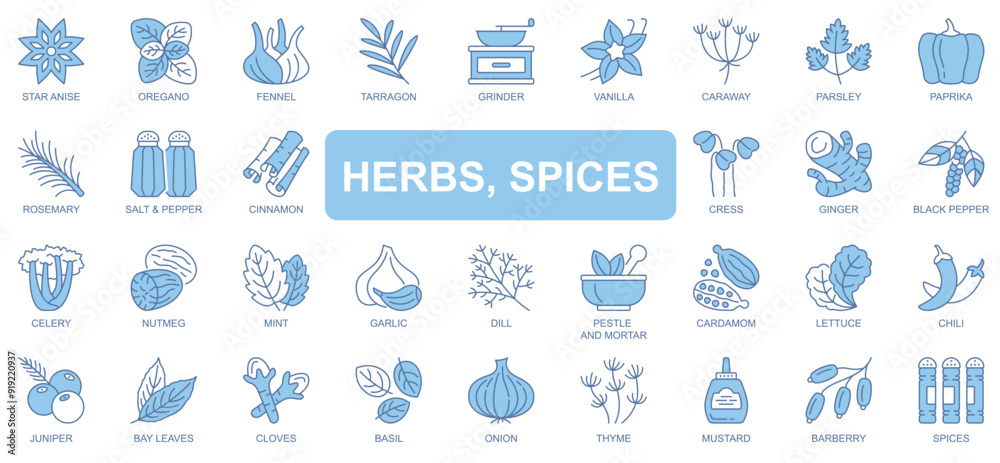 Herbs and spices icons set in duotone outline stroke design for web. Pack pictograms of star anise, oregano, fennel, tarragon, vanilla, caraway, parsley, paprika, rosemary, other. Vector illustration. Herbs and spices icons set in duotone outline stroke design for web. Pack pictograms of star anise, oregano, fennel, tarragon, vanilla, caraway, parsley, paprika, rosemary, other. Vector illustration.