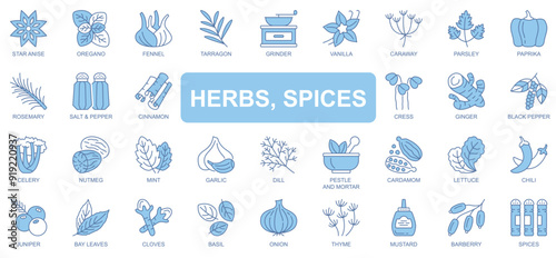 Herbs and spices icons set in duotone outline stroke design for web. Pack pictograms of star anise, oregano, fennel, tarragon, vanilla, caraway, parsley, paprika, rosemary, other. Vector illustration.