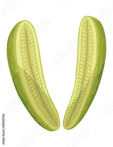 Homemade pickled cucumber. Clip-art of marinated food for packaging, label, menu, signboard or showcase. Fermented veggies, crunch gherkin with salt. Healthy vegetarian food